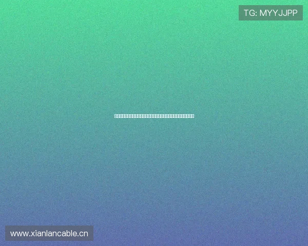 五星体育在线直播网站官网下载最新版本安装教程与赛事高清观看指南